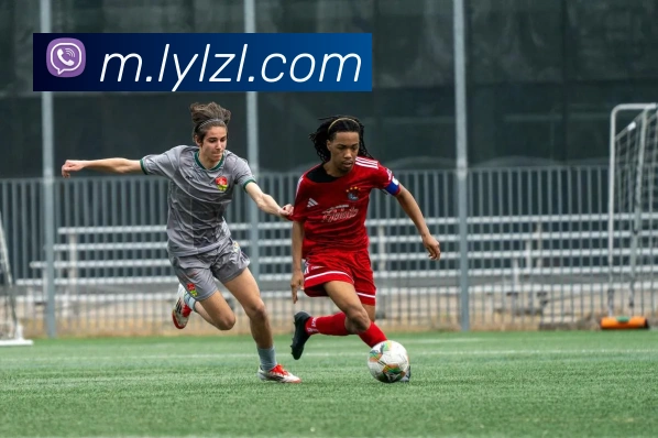 尊龙凯时发展历程